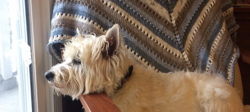 What to Do with All Those Knitted&nbsp;Shawls?